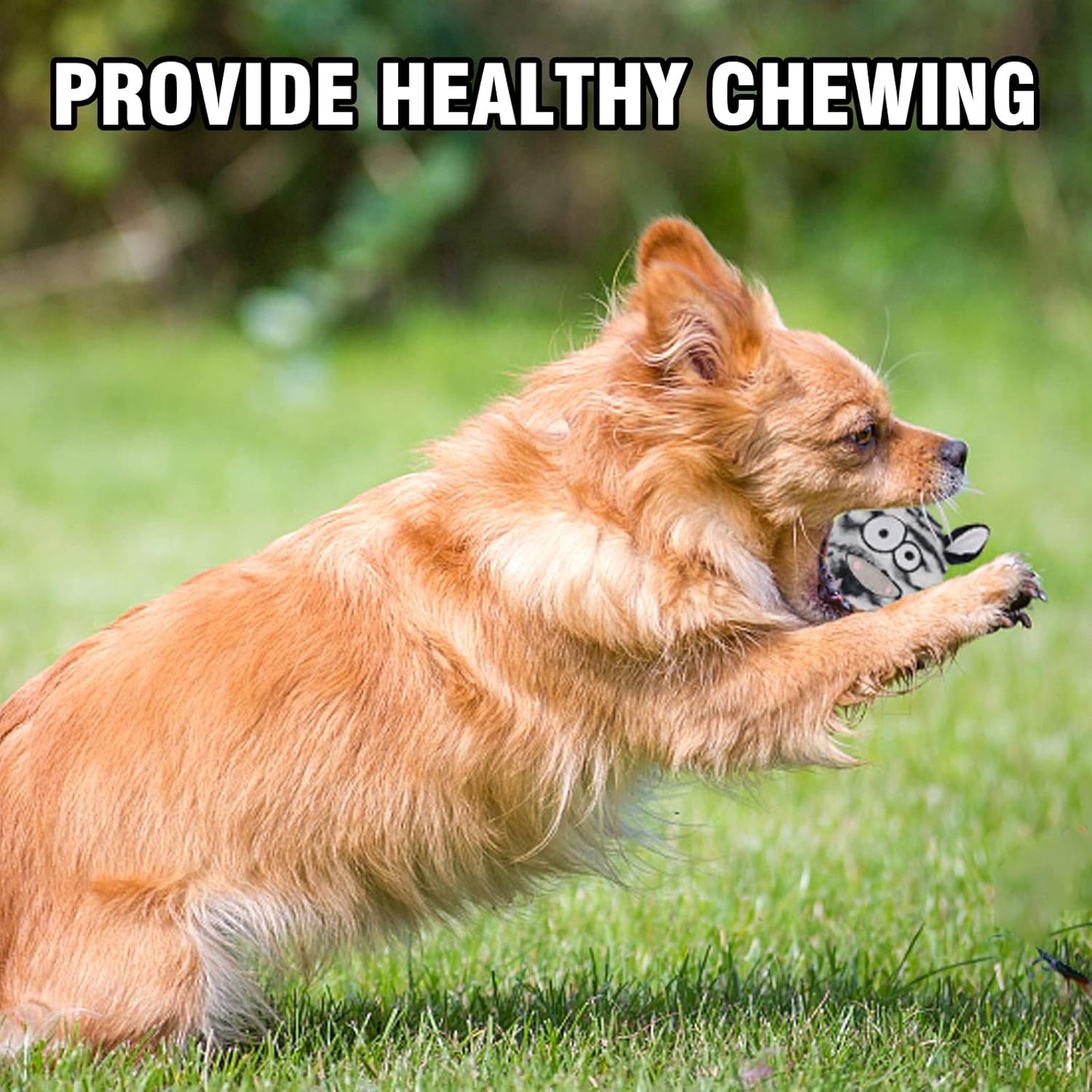 DKING 3Pack Squeaky Dog Balls,2 in1 Funny Puppy Ball Toys,Birthday Dog Toy for Small Medium Dogs (Animal Ball)