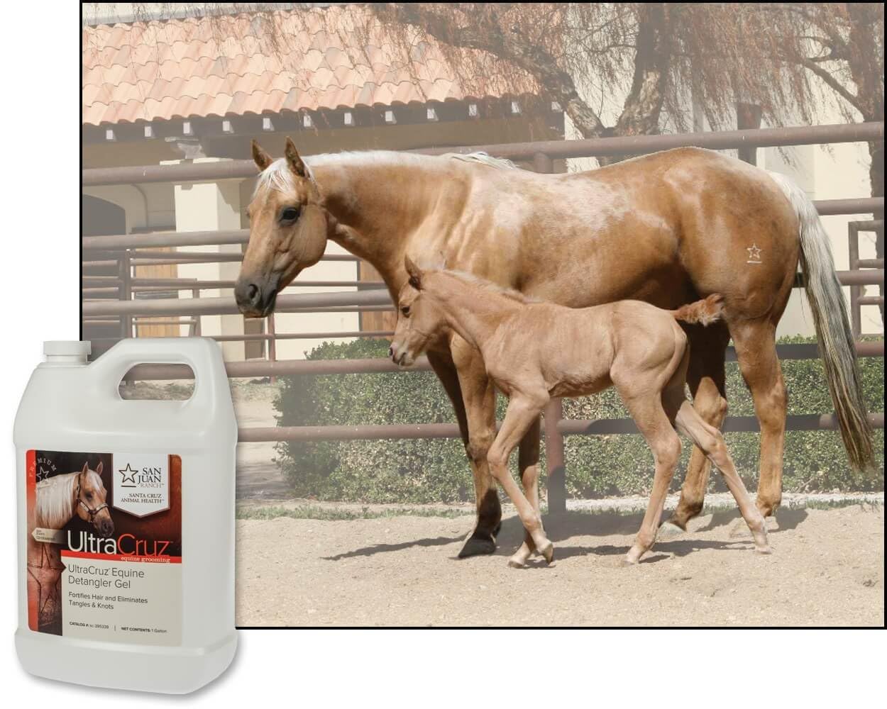 UltraCruz® Equine Detangler Gel, 1 Gallon