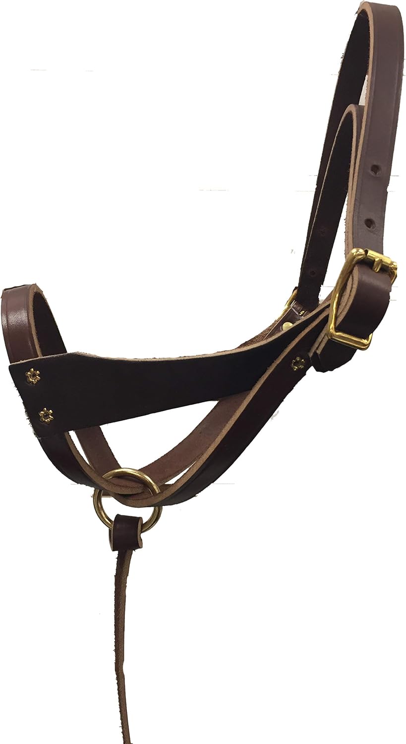 Leather Figure 8 Foal Halter | Newborn, Foal, Mini Pony Halter | Brown with Removable Grab Strap and Two Size Crowns