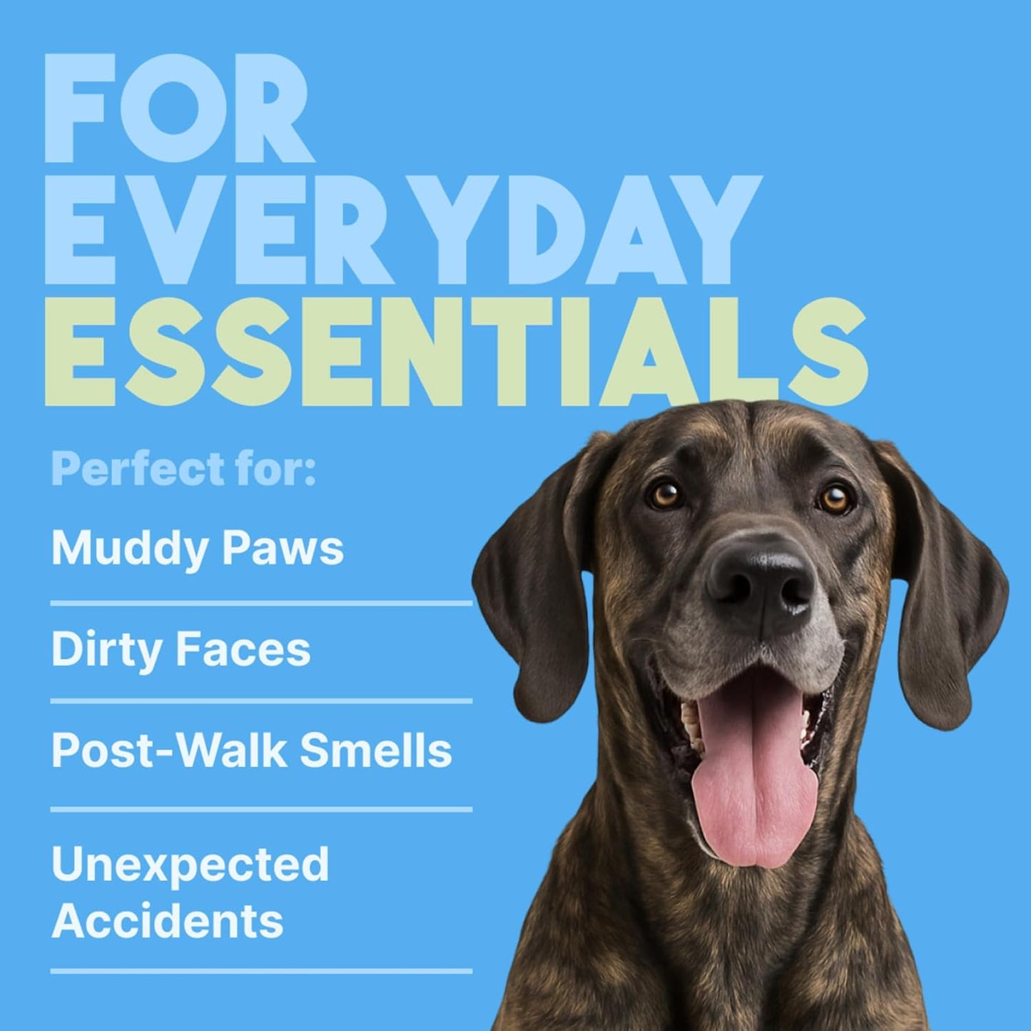 TropiClean Hypoallergenic Cleaning Pet Wipes, 100ct - Wipes for Dogs, Cats, Puppies & Kittens with Sensitive Skin - Gently Removes Dirt & Dander - Fragrance Free