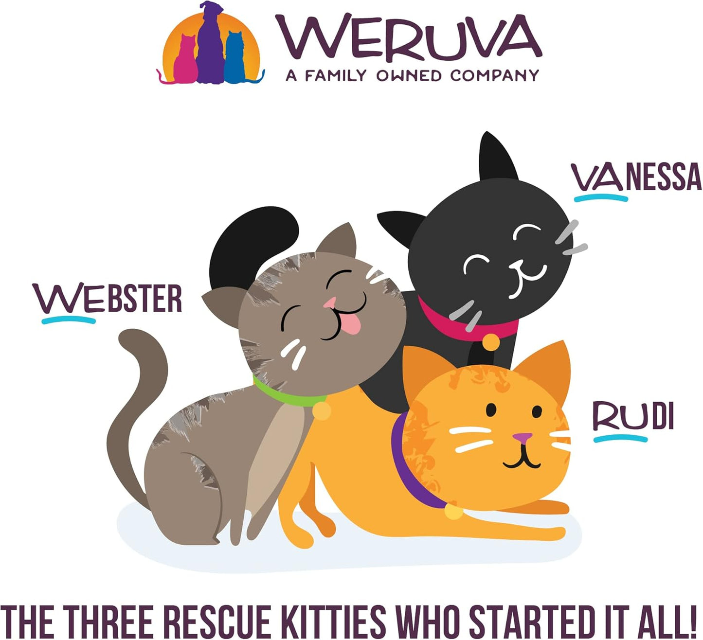 Weruva B.F.F. Play - Best Feline Friend Paté Lovers, Aw Yeah!, Tuna & Salmon Oh Snap! with Tuna & Salmon, 5.5oz Can (Pack of 8)