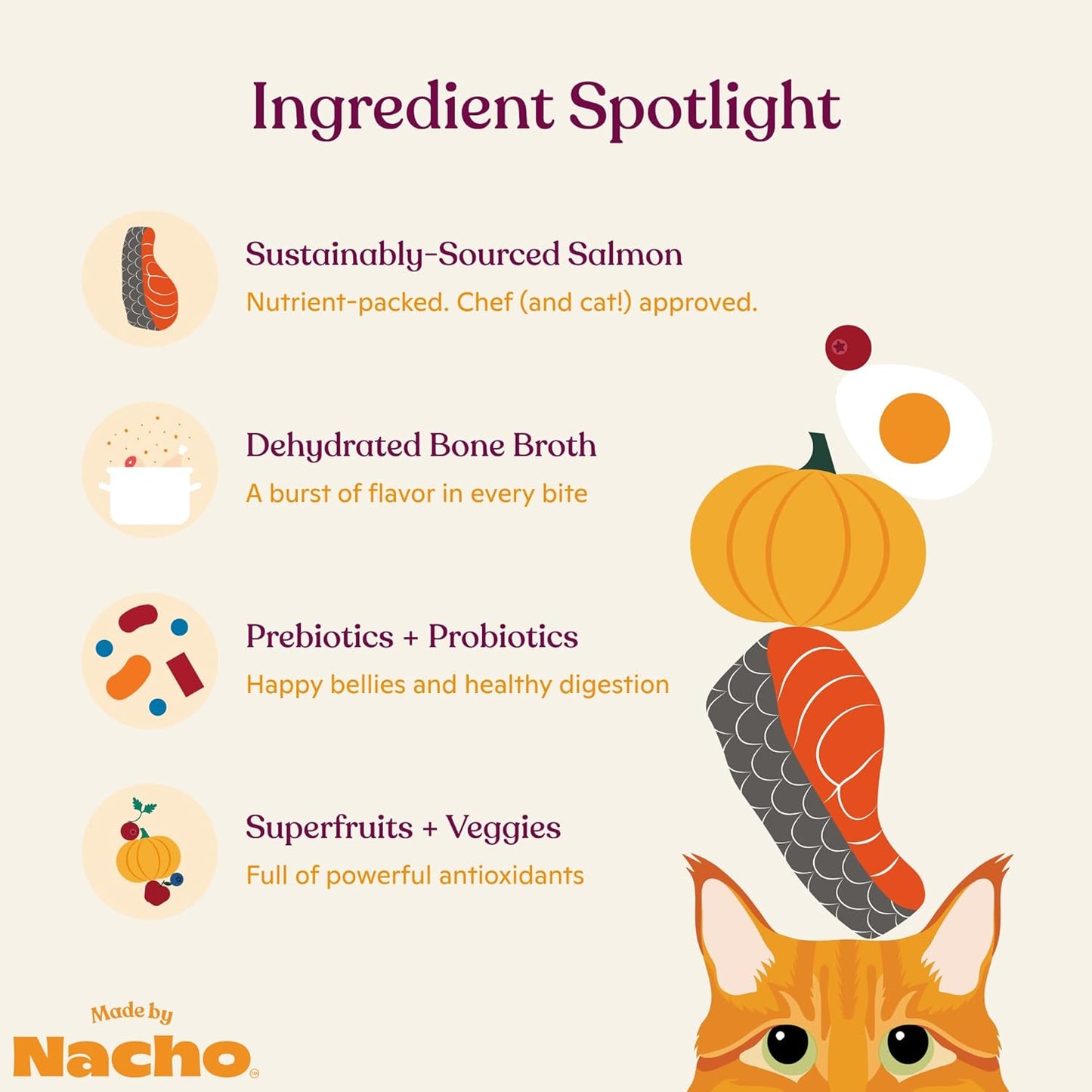 Made by Nacho Dry Cat Kibble 11lb Bag, High Protein and Grain-Friendly Premium Cat Food, Sustainably Caught Salmon and Pumpkin, Infused with Bone Broth for Hydration, Limited Ingredients, Single Bag