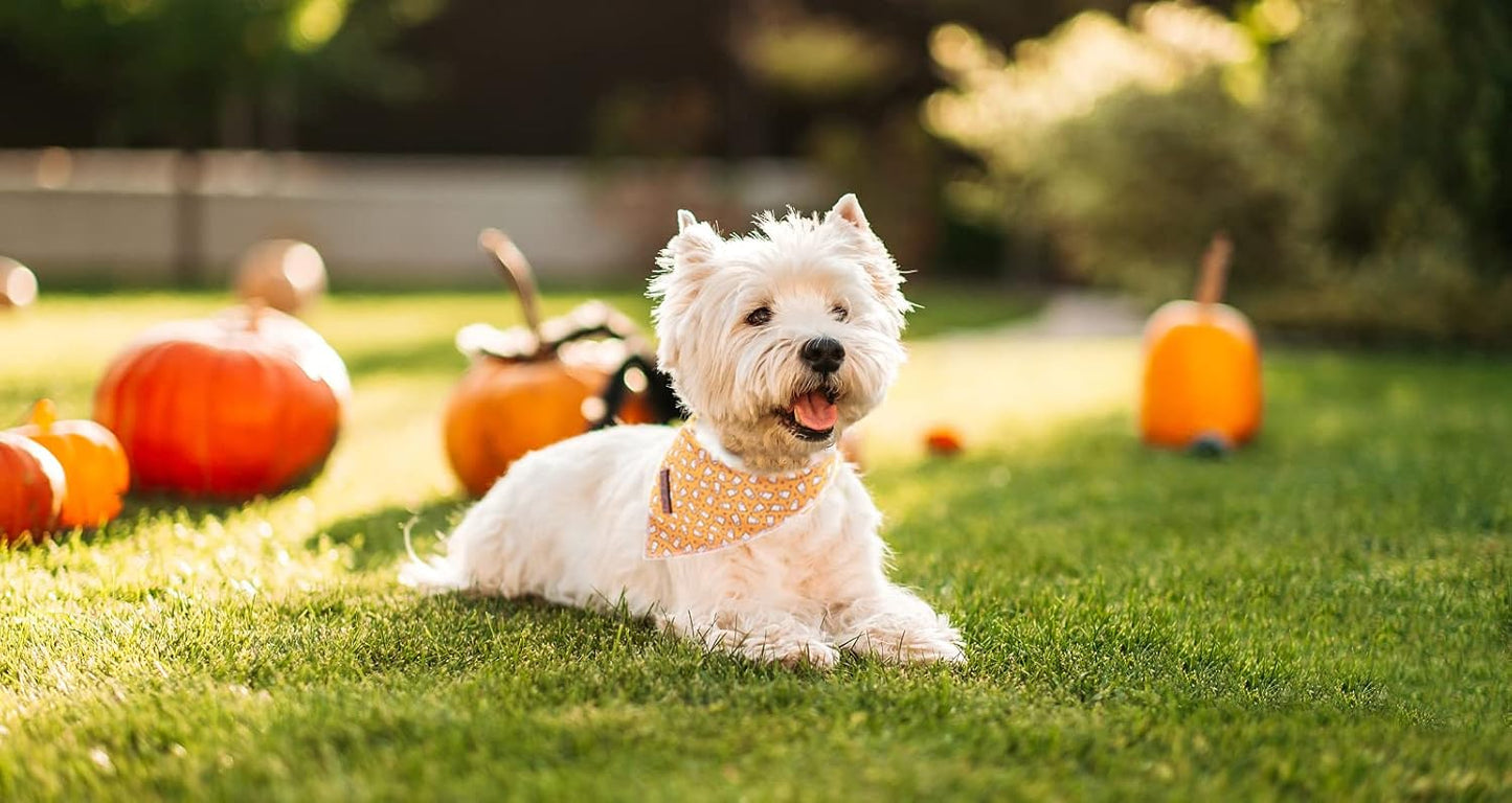 Lionet Paws Halloween Dog Bandana,Fabric Ghost Dogs Kerchief for Small Medium Dogs,Dog Cotton Triangle Bibs Scarf for Girl Boy