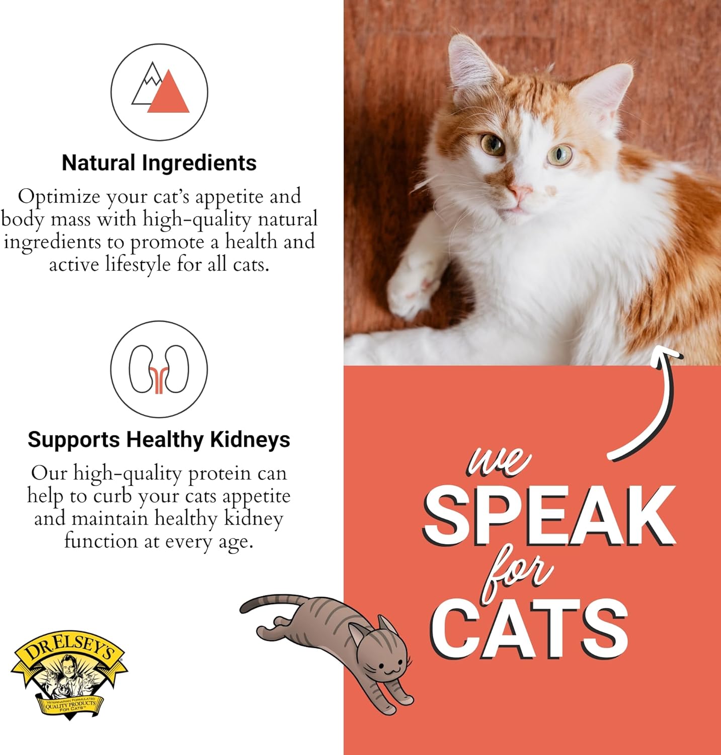 Dr. Elsey'S Cleanprotein Salmon Formula Dry Cat Food, 2 Pound (Pack of 1)