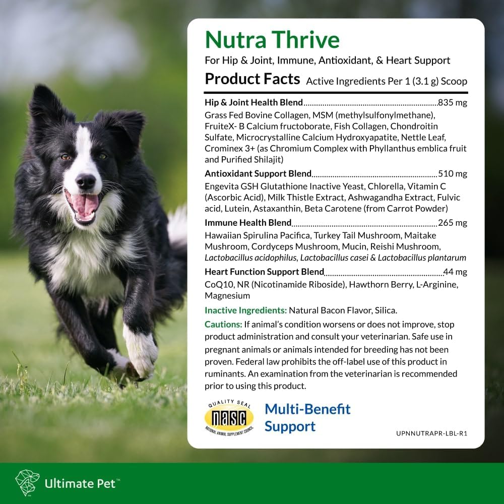 Ultimate Pet Nutrition Nutra Thrive Canine, 40-in-1 Nutritional Powder Supplement for Dogs with Digestion and Immune Support, Vitamins, Minerals, Probiotics, Enzymes, 30 Scoops (Pack of 3)