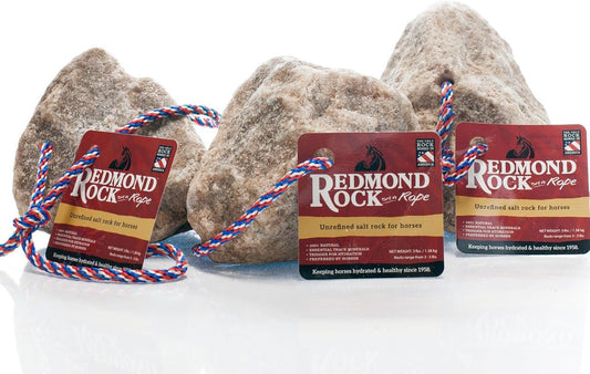 REDMOND - Rock on a Rope Unrefined Salt Rock for Horses 3 to 5 lbs (3 Pack)
