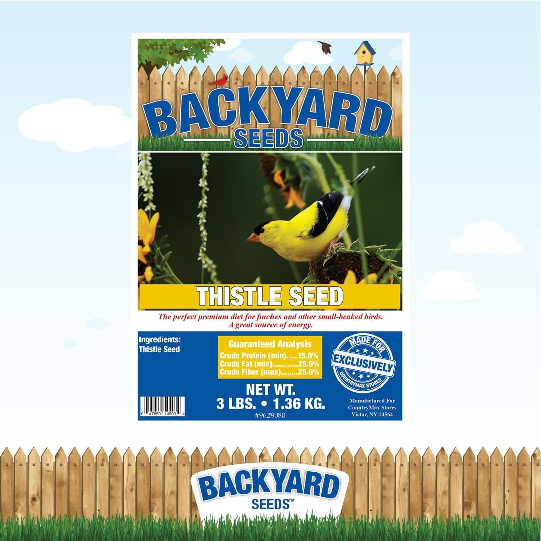 Thistle Seed for Finches – Premium Wild Bird Food for Goldfinches, Siskins & Small Songbirds | High-Energy, No-Filler, Cleaned Seed 7 lbs