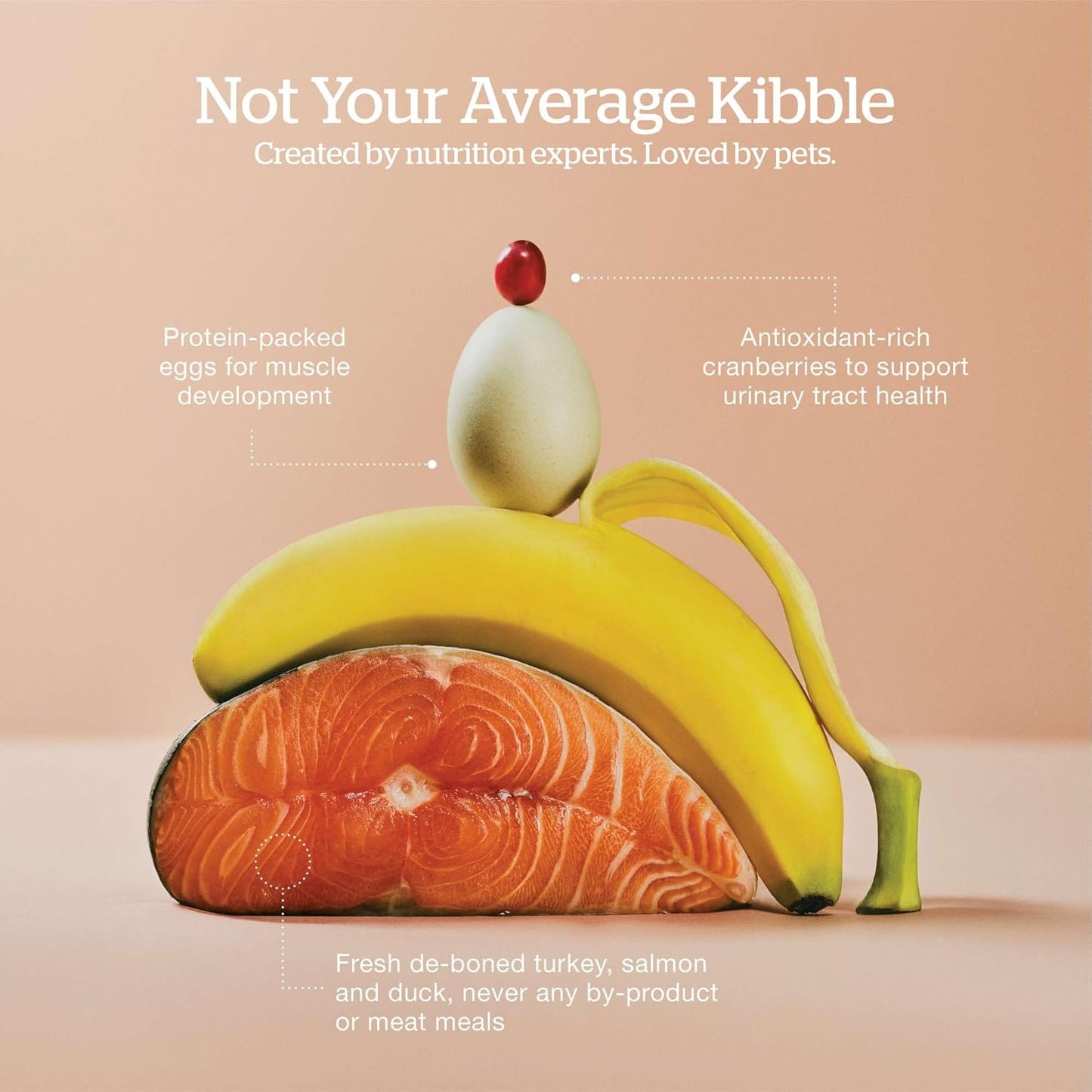 Now Fresh Grain-Free Senior Dry Cat Food with Turkey, Salmon & Duck, Premium Kibble Made with Real Meat & Fish, Chicken-Free Recipe, Supports Healthy Weight Management, 16 lb Bag