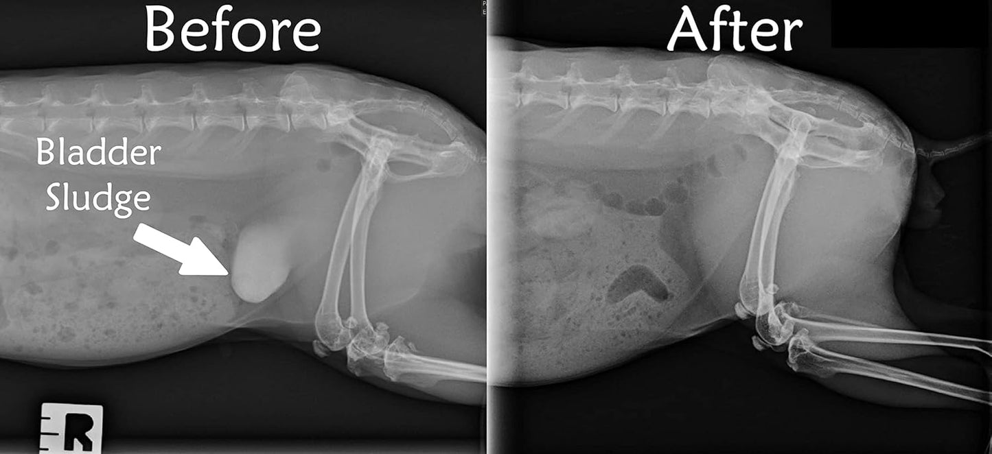 Sherwood Pet Health Adult Rabbit Food Alfalfa Timothy Hay-Based Blend 20 lbs, Grain and Soy-Free for Better Digestion