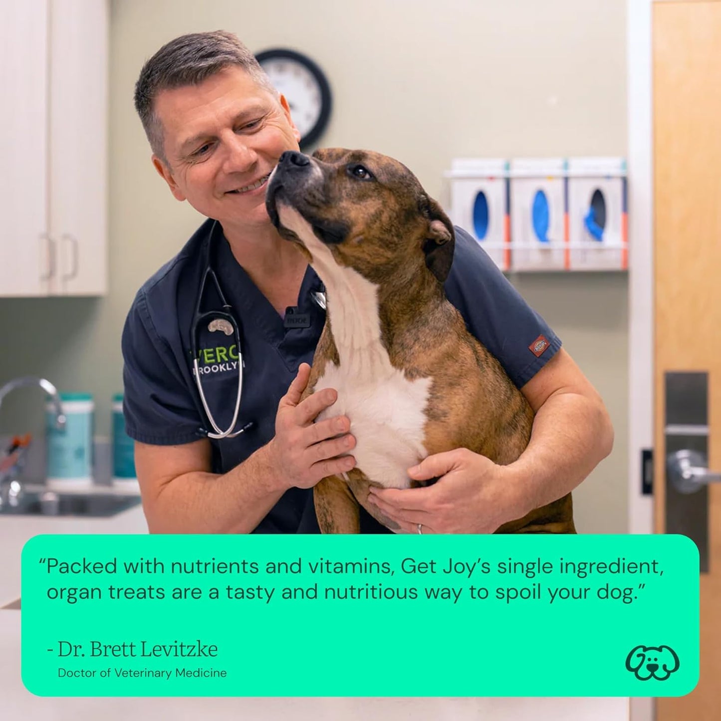 Get Joy Freeze Dried 100% Beef Kidney Dog Treats, 16oz | Single Ingredient Organ Meat, High Protein Raw Dog Food Topper, Snack & Training Rewards | Grain Free, Gluten Free, Filler Free