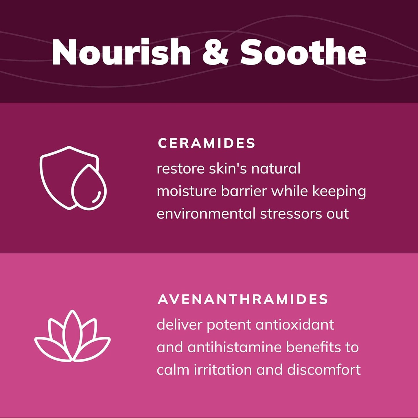 CeraSoothe® CHX+MC Antiseptic Shampoo 16oz