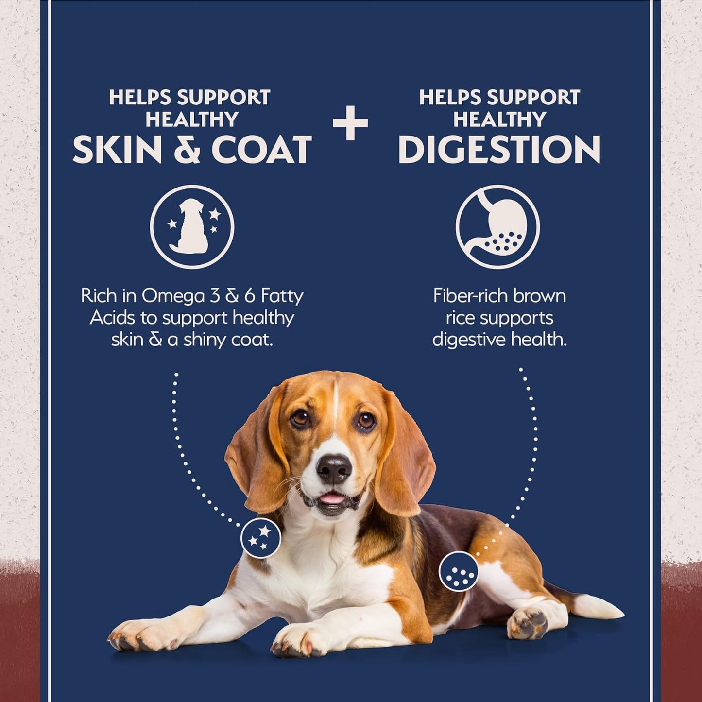 Natural Balance Limited Ingredient Adult Dry Dog Food with Healthy Grains, Beef & Brown Rice Recipe, 24 Pound (Pack of 1)