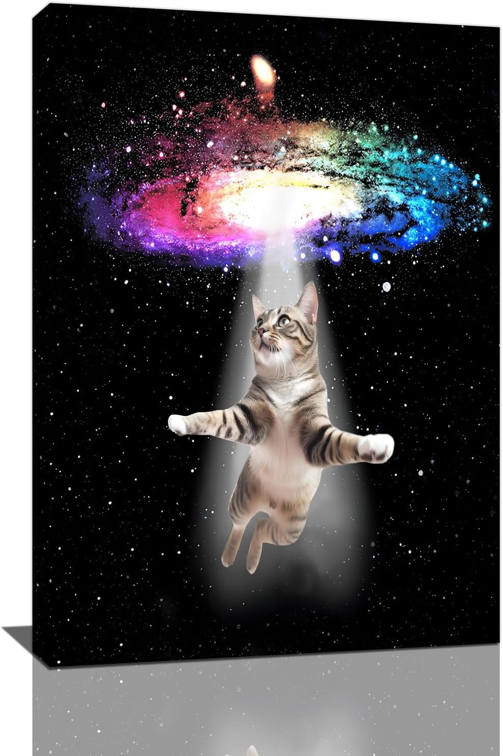 Funny Cat Wall Art Canvas Galaxy Wall Decor Prints Framed Painting Animal Pictures Gifts Artwork for Bathroom Living Dining Kitchen 16"x24"