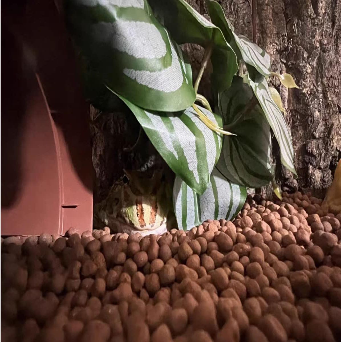 Reptile Plants for Terrarium Decor,Amphibian Habitat Decor,Artificial Plants for Gecko Chameleon Snake Tortoise Tank Accessories with Base (Green Watermelon peperomia)