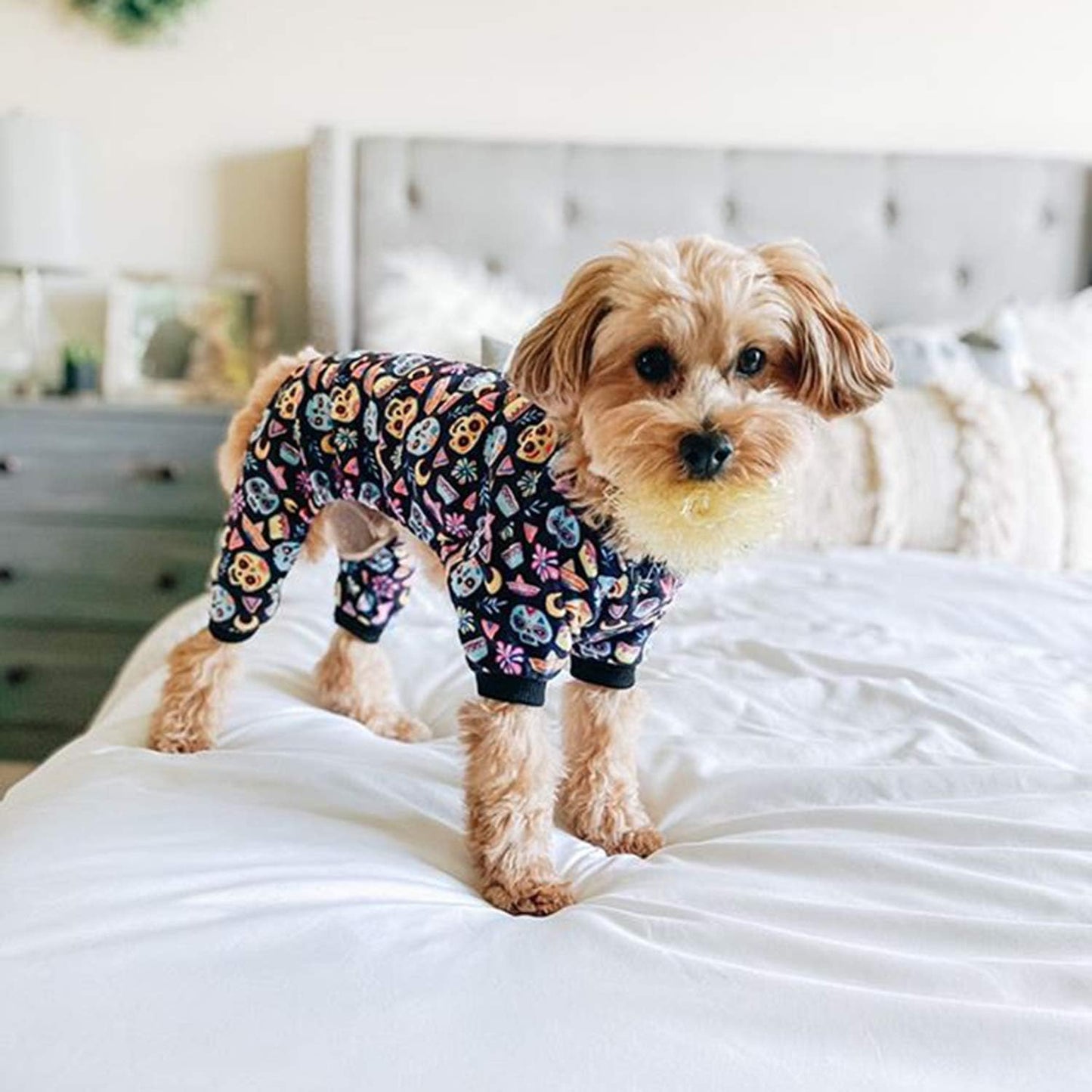 CuteBone Small Dogs Outfit Soft Puppy Onesies Pjs Halloween Dog Pajamas Pet Coat Cat Apparel Comfy Doggie Jumpsuit Bodysuit for All Seasons P73L