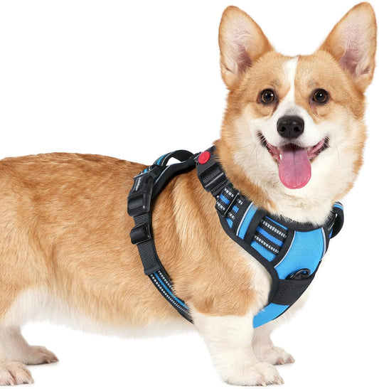 rabbitgoo Dog Harness Small Sized, No Pull Pet Harness with 3 Buckles, Adjustable Soft Padded Vest with Control Handle, Walking Reflective Pet Vest for Small Dogs, Sky Blue, S