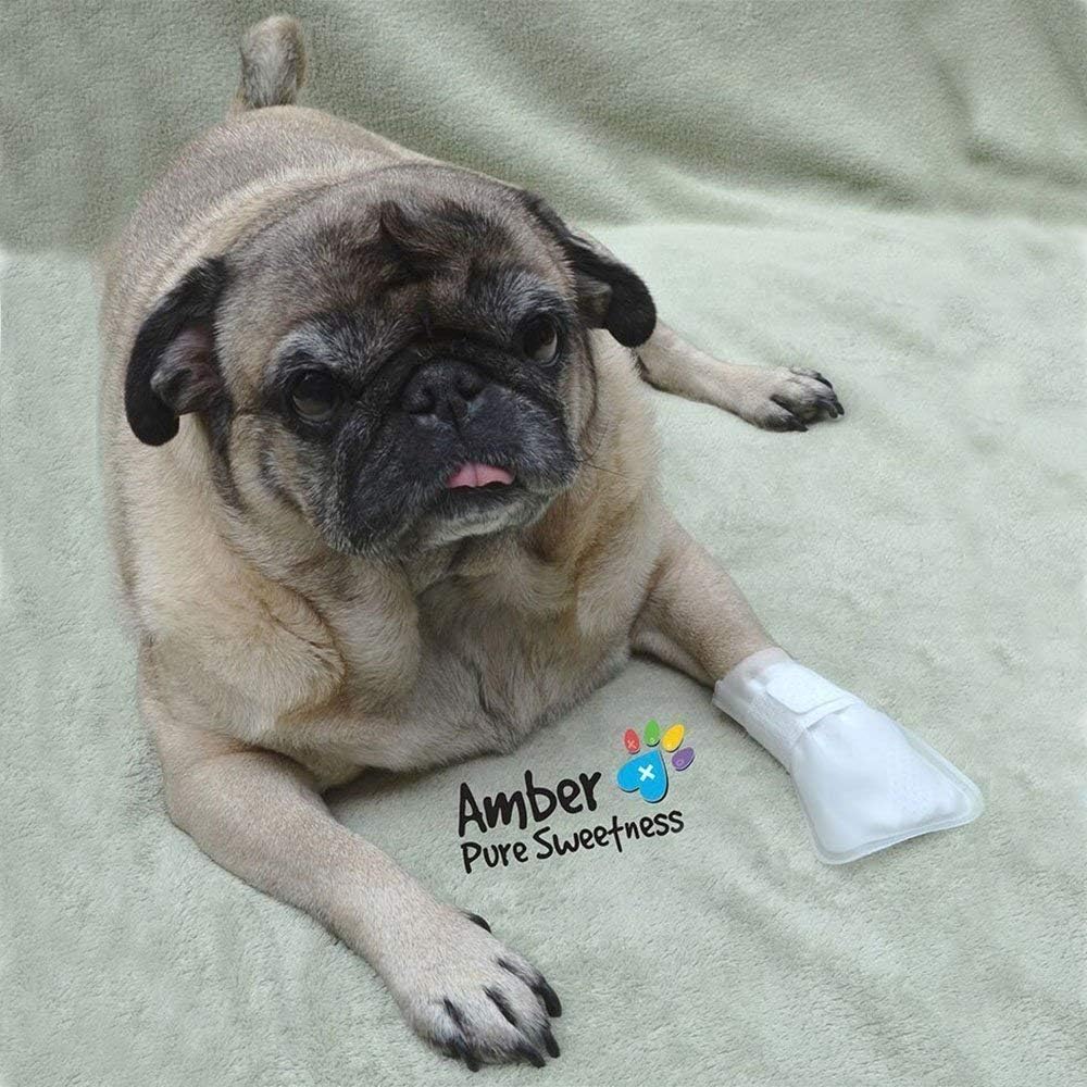 Outdoor Water Proof Cover. Slides Over MediMitts for Dogs paw (which are Sold Separately) Fastens with Medimitt Strap. Useful for hot Spots, Allergies and More. Value 20pack (Medium)