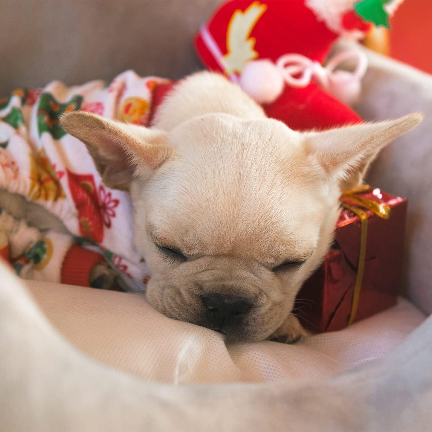 CuteBone Small Dogs Christmas Outfit Soft Puppy Onesies Pjs Dog Pajamas Pet Coat Cat Apparel Comfy Doggie Jumpsuit Bodysuit for All Seasons P17S