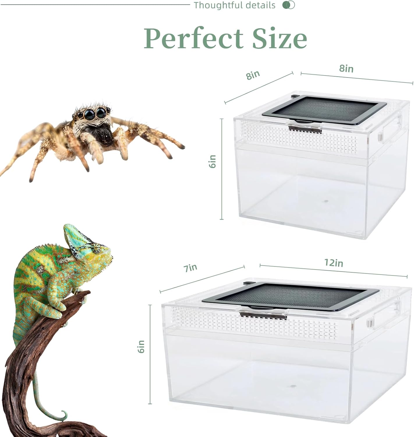 Reptile Terrarium 2025 Upgrade Leopard Gecko Tank Dual use of Water and Land, Stronger, More Durable, More Convenient, Suitable for Gecko, Hermit Crab, Tree Frog, Tarantula,Spiders (Small)