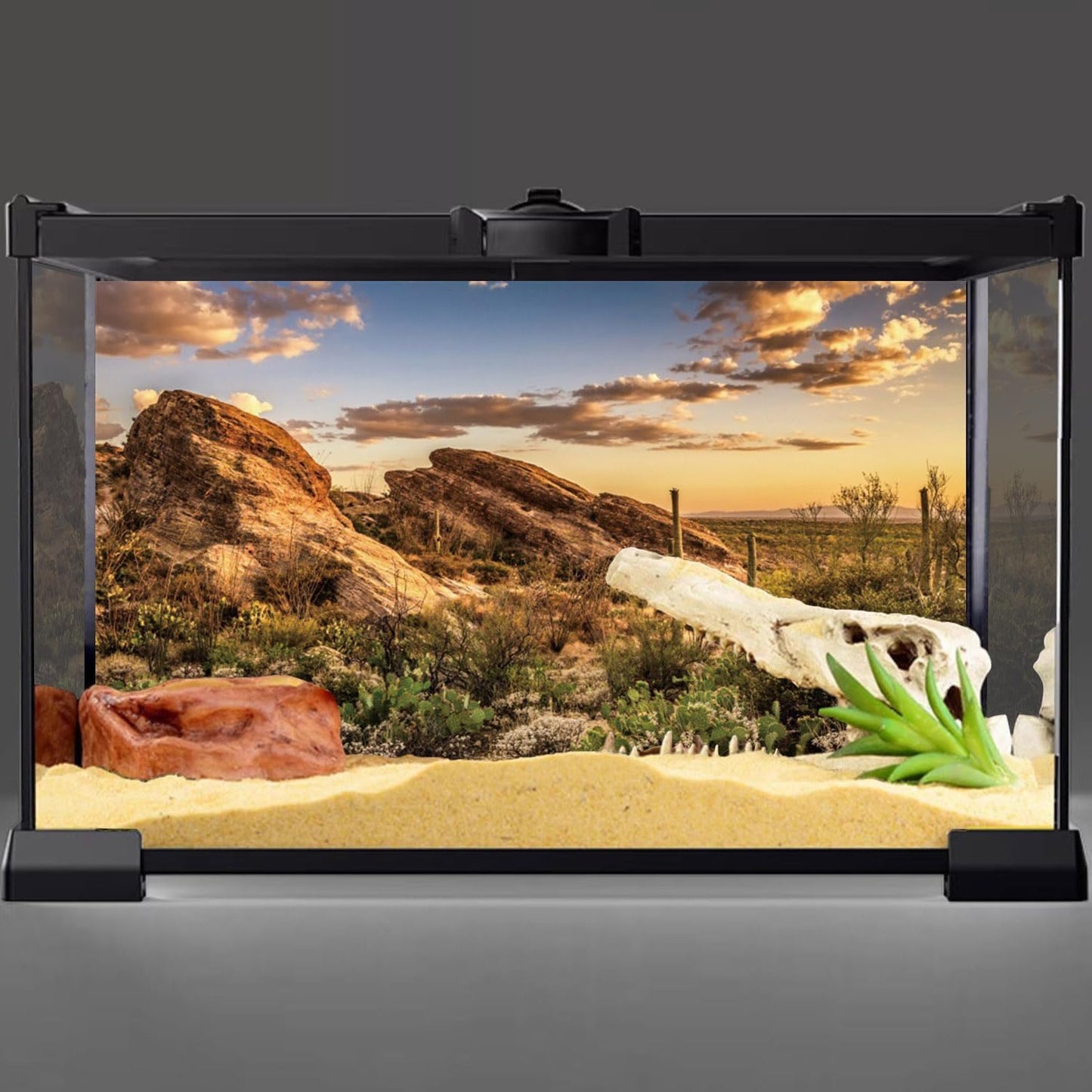 AWERT Reptile Habitat Background Blue Sky Oasis Cactus Sun and Desert Terrarium Background 24x16 inches Durable Polyester Background