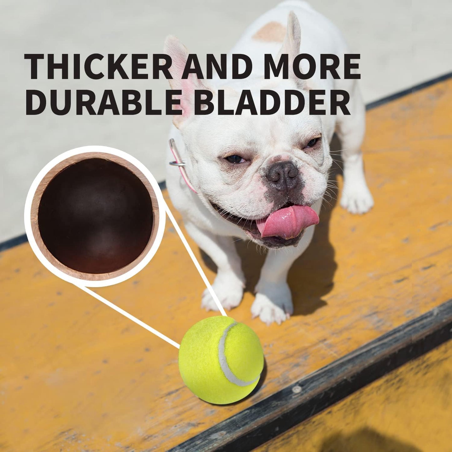 ALL FOR PAWS Interactive Super Bounce Tennis Balls Dog Toy, Pet Safe Toys for Exercise and Training, 2.5 Inch Diameter (6 Pack)