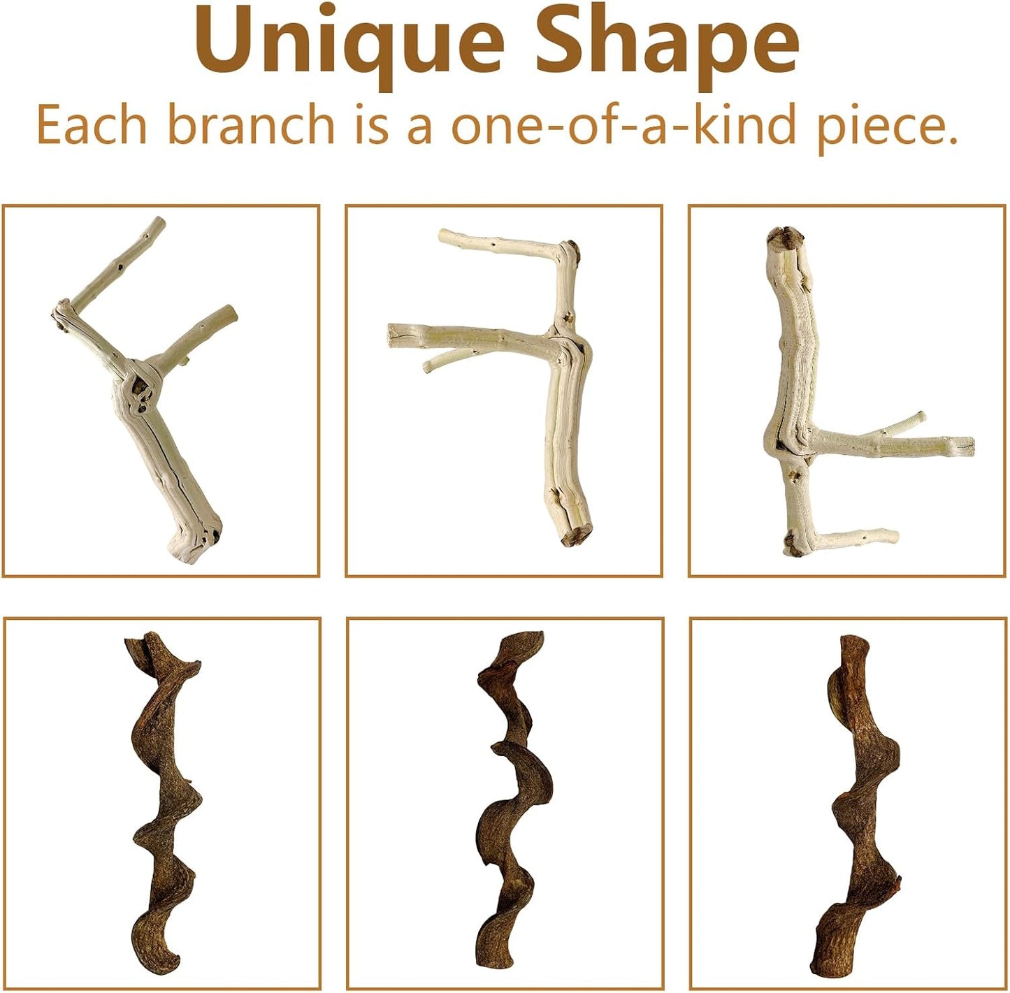 BNOSDM Reptile Branches, 12-14inch Snake Climbing Branch, Terrarium Wood Branch Decor, Bearded Dragon Tank Climbing Accessories for Lizard, Gecko, Chameleon, Frog, 2Pcs