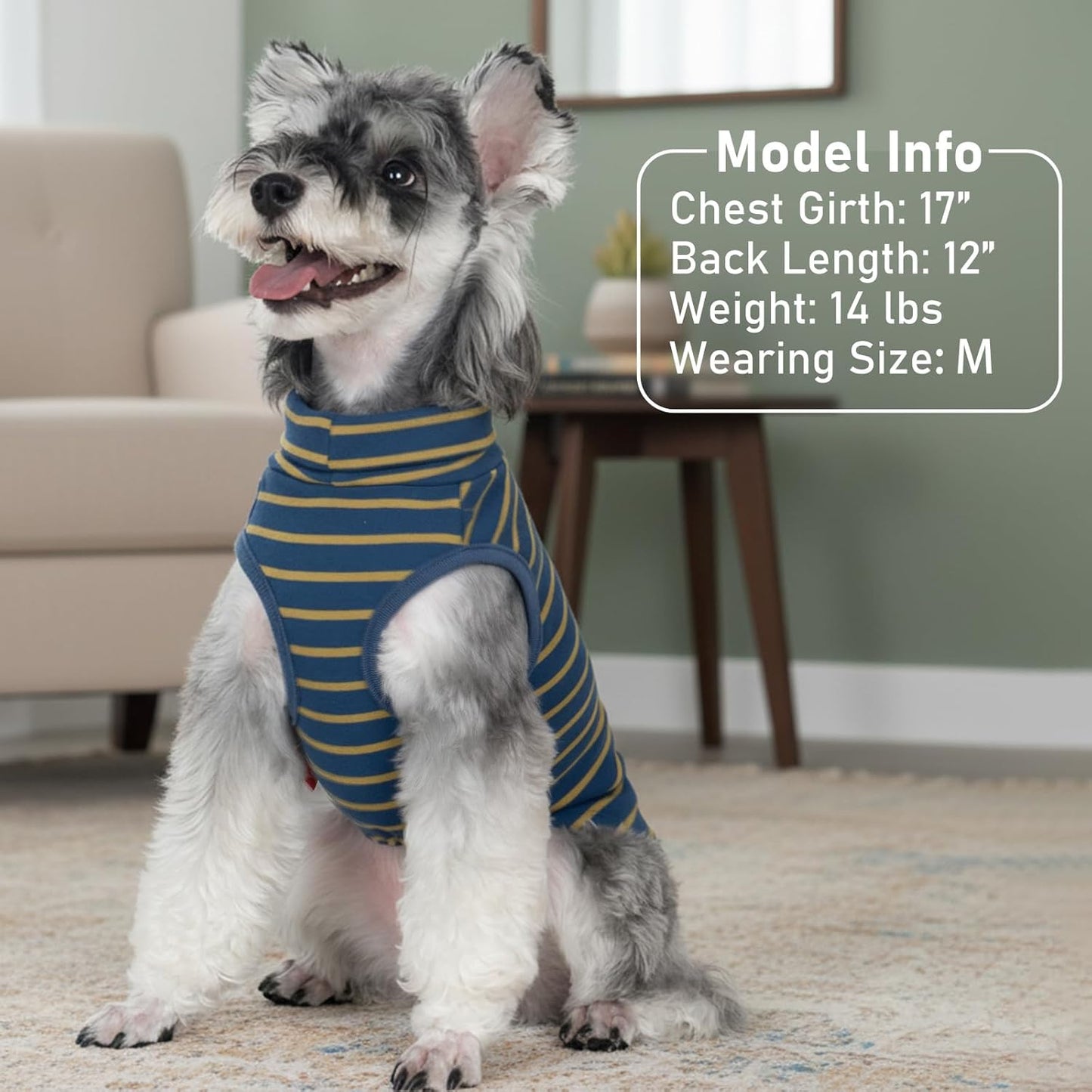 KYEESE 2Pack Dog Sweater Pullover Pet Sweatshirt Stretchy Dogs Clothes Soft Dachshund Clothes Warm Doggie Coats Turtleneck Small Pets Sweaters Dog Sweaters for Small Dogs Male