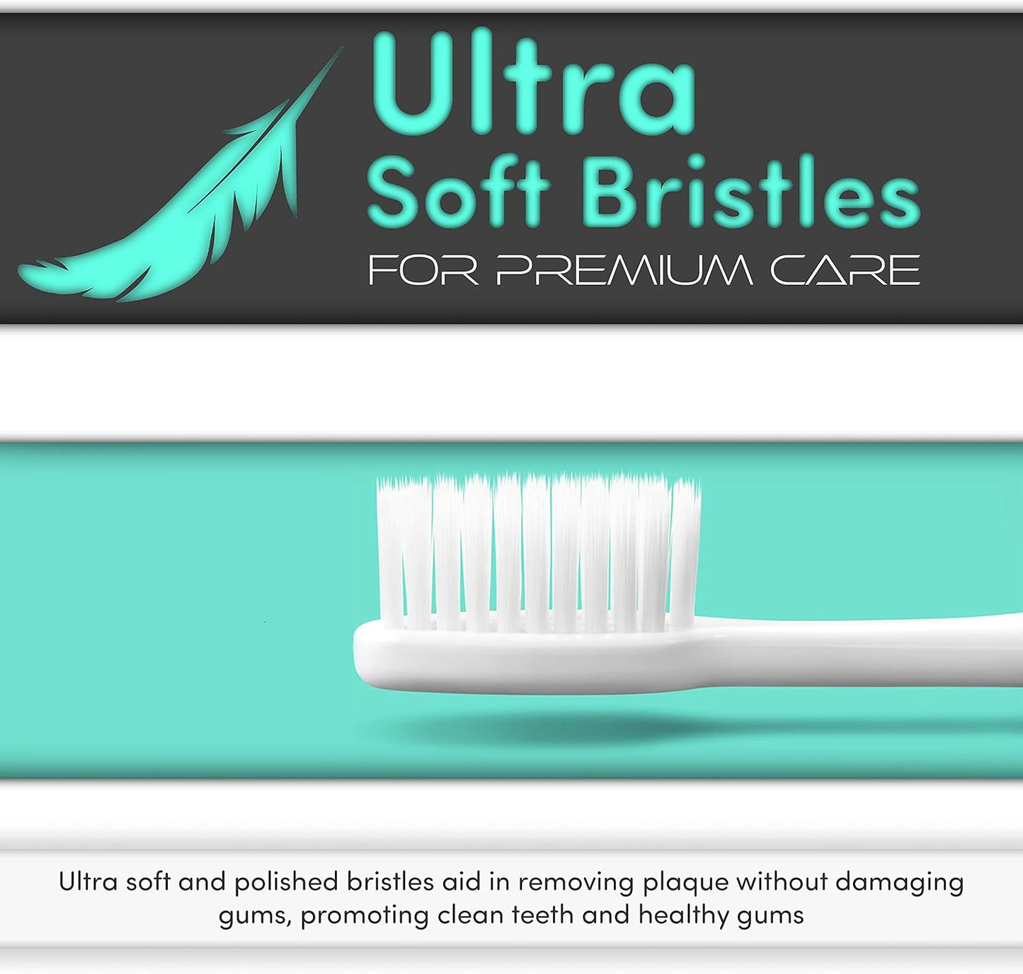 H&H Pets Toothbrush for Small Dogs & Cats - Soft and Extra Small Toothbrush Designed for Cats, Puppies, and XS Breed Dogs Like Teacups, Chihuahuas, Yorkshire, and Poodle, 8 Count Pack