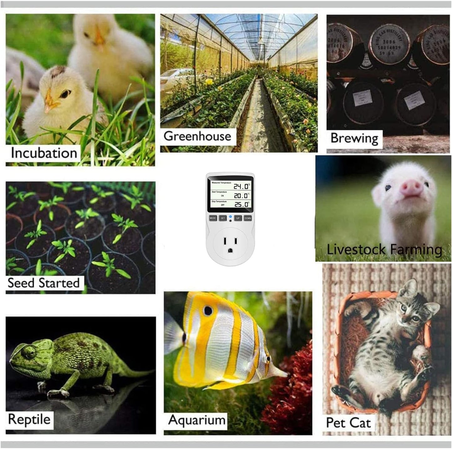 KABASI Digital Temperature Controller, LCD Screen Heating Cooling Reptile Thermostat with Sensor Probe for Snake, Lizard, Incubator, Brewing, Incubator, Greenhouse, Terrarium ℉/℃ 15A 1800W 120V