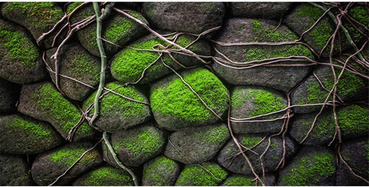 AWERT 48x20 inches Stone Aquarium Background Rock Fish Tank Background Rocky Terrarium Background Vinyl