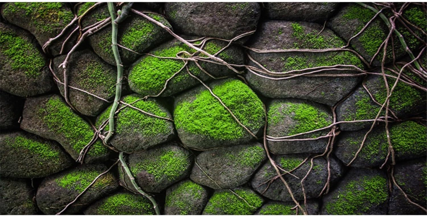 AWERT 48x24 inches Stone Aquarium Background Rock Fish Tank Background Rocky Terrarium Background Vinyl