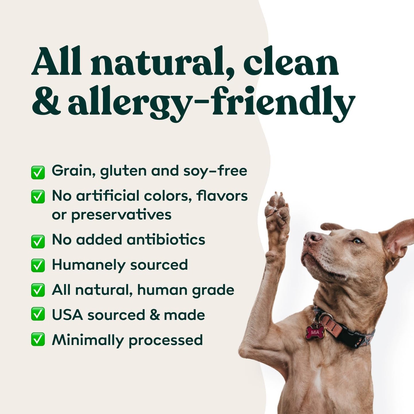 Little Hunter Freeze Dried Dog Treats - Beef Liver - Raw Single Ingredient Beef Liver Dog Treats for Snacks, Training, Dog Food Toppers - All Natural, Healthy Dog & Puppy Treats, 2 oz