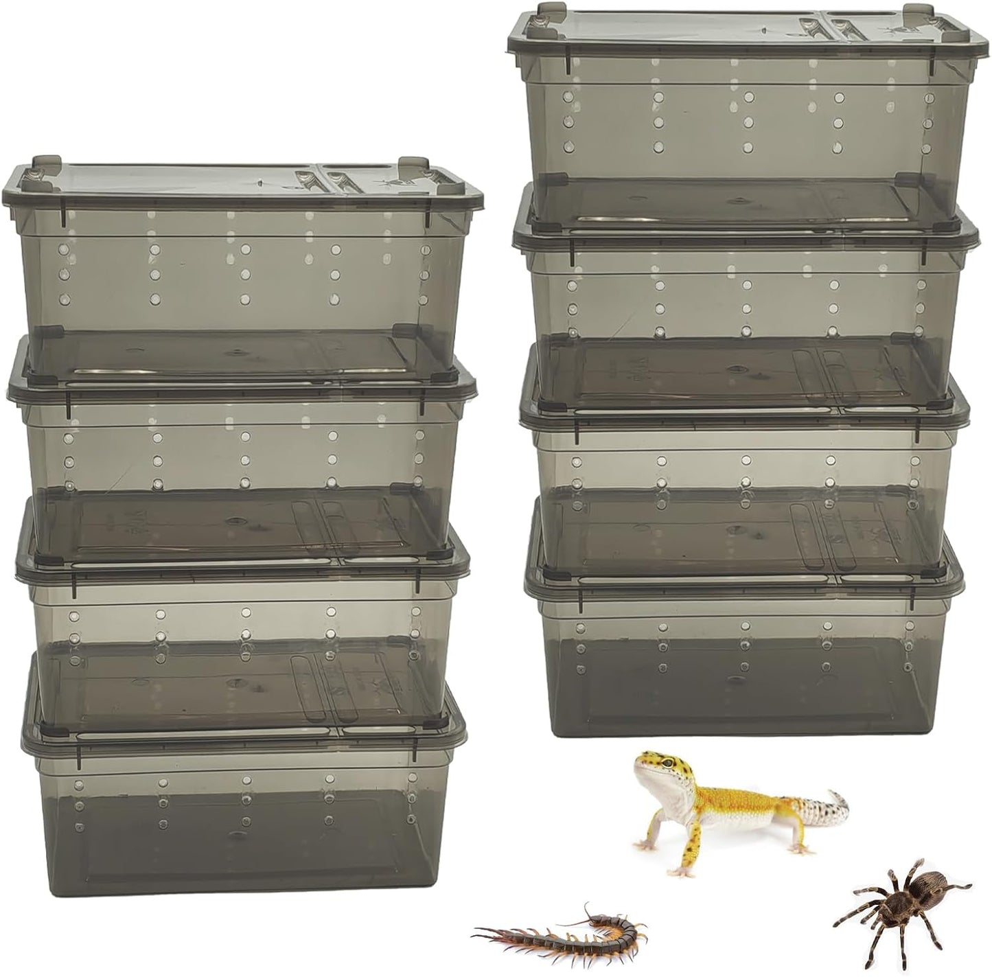 PINVNBY 8 PCS Reptile Feeding Box Portable Snake Breeding Box Lizard Cage Hatching Container 7.48"x4.92"x2.95" Transparent Plastic Pet Houses for Spider Scorpion Gecko Insect Tortoise Treefrog(Black)