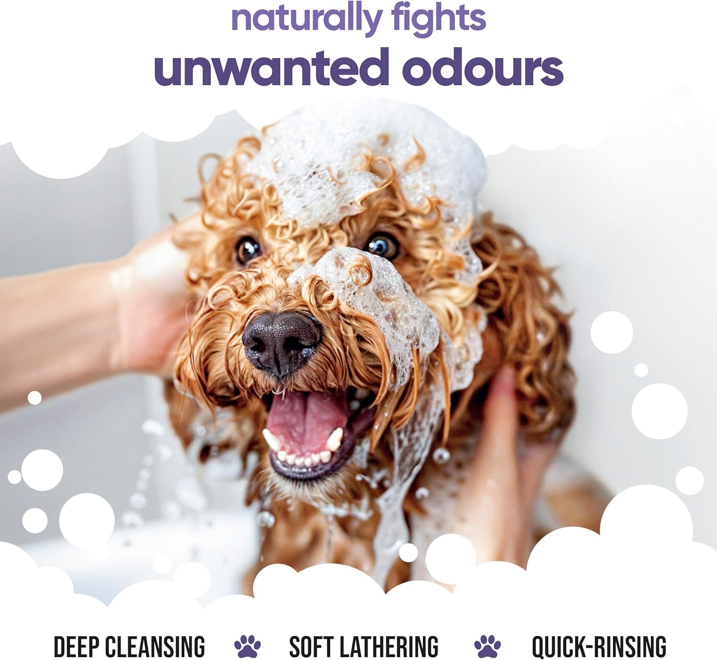 Calming & Deodorising Dog Shampoo by Buddycare | Lavender Scented | with Aloe Vera and Pro Vitamin B5 (33.8oz)