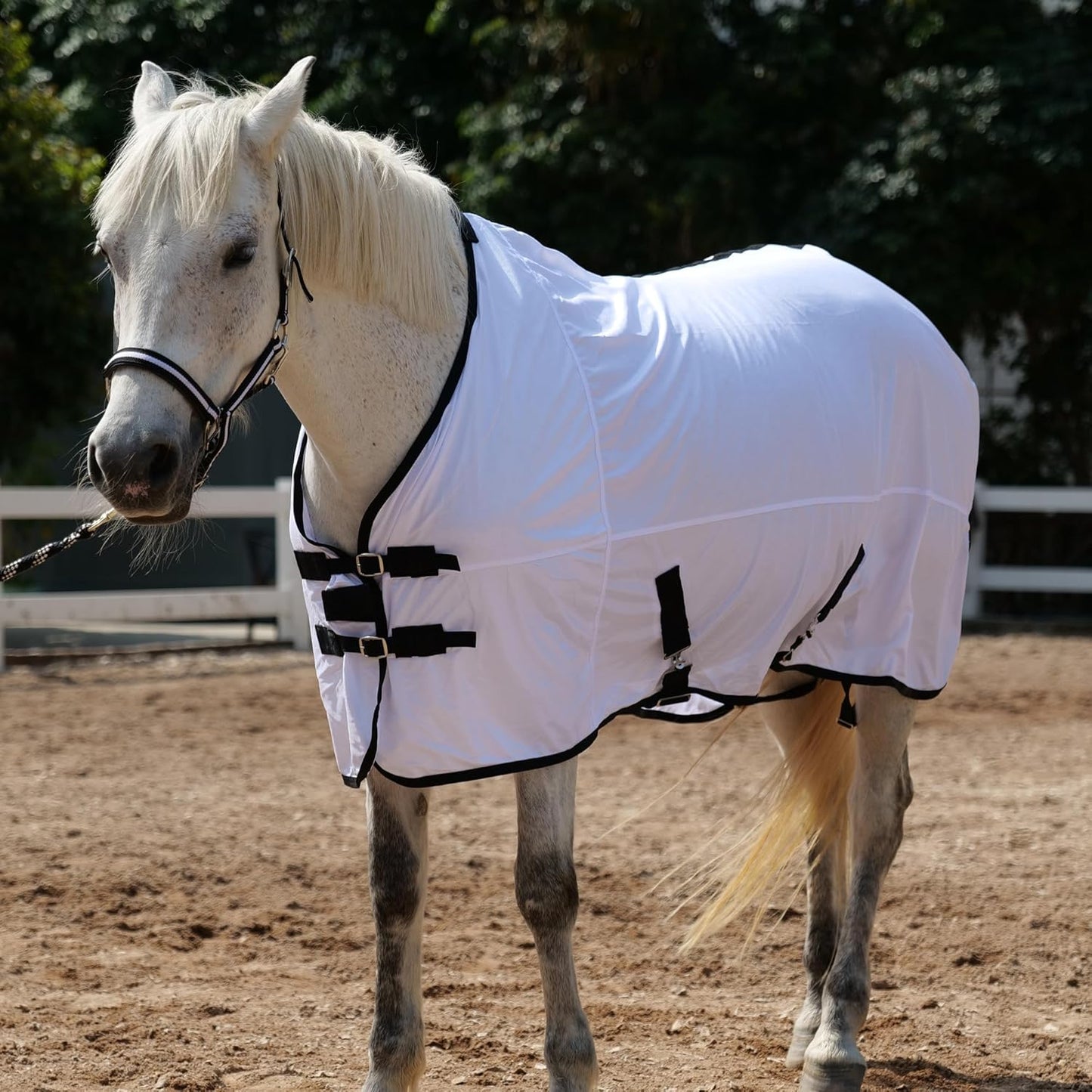 Horse Fly Sheet Equine Summer Sheets, Comfy Mesh Bug and Mosquito Protection Standard Neck - White 81"