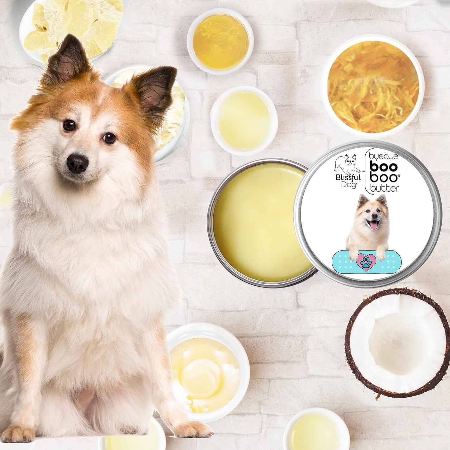 The Blissful Dog Icelandic Sheepdog Boo Boo Butter, 8 Ounce