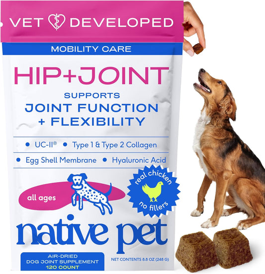 Native Pet Hip & Joint Supplement for Dogs - Advanced Dog Joint & Arthritis Supplement - Helps Maintain Healthy Cartilage, Joint Flexibility, Lubrication, & Function - with ESM & Collagen - 120 Chews