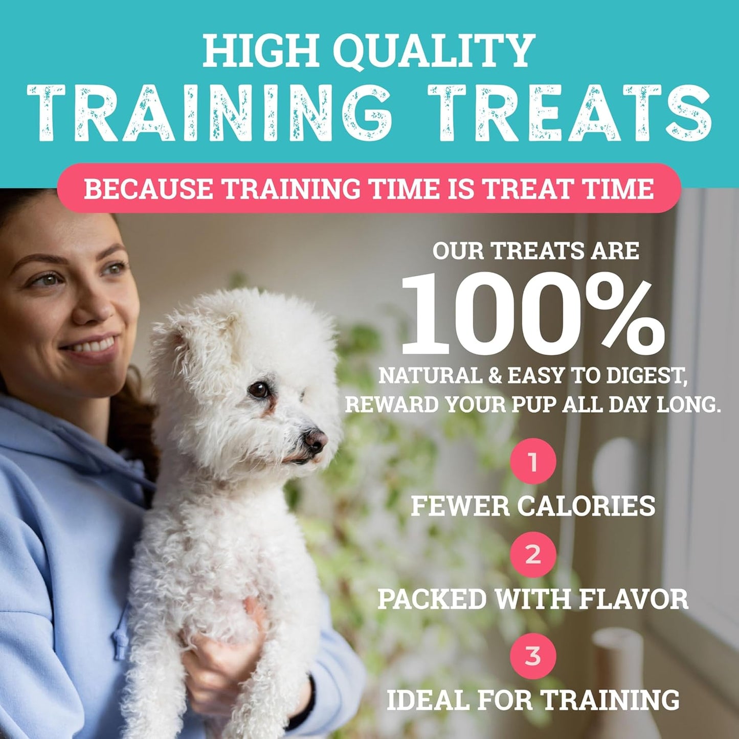 etta says! Training Treats - All Natural Pork and Bacon Soft Treats for Dogs - Made in The USA (16 Oz Pack of 1)