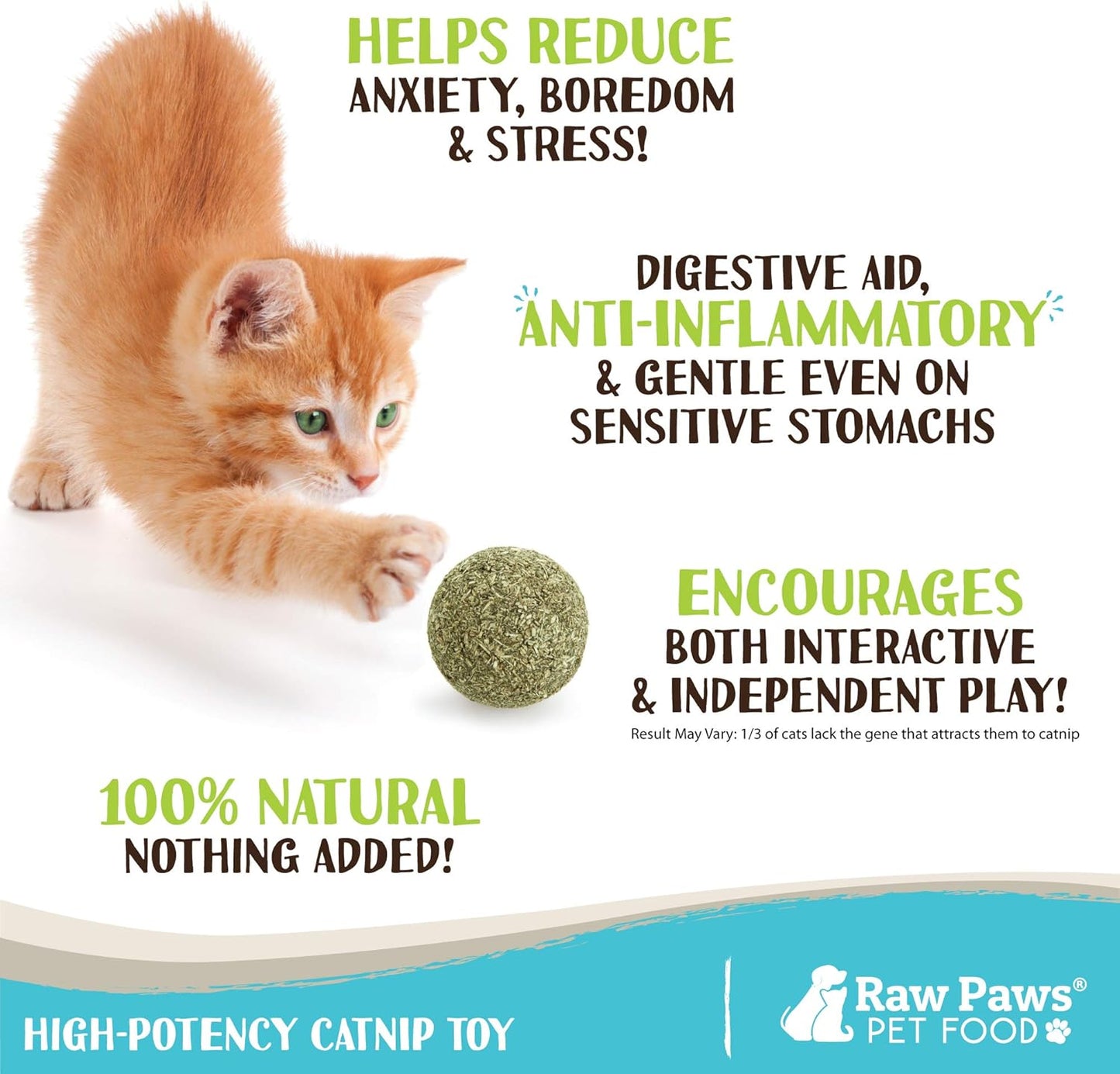 Raw Paws Catnip Balls for Cats, (6-Count) - Interactive Cat Toy for Indoor Cats - Cat Nip Licking Balls