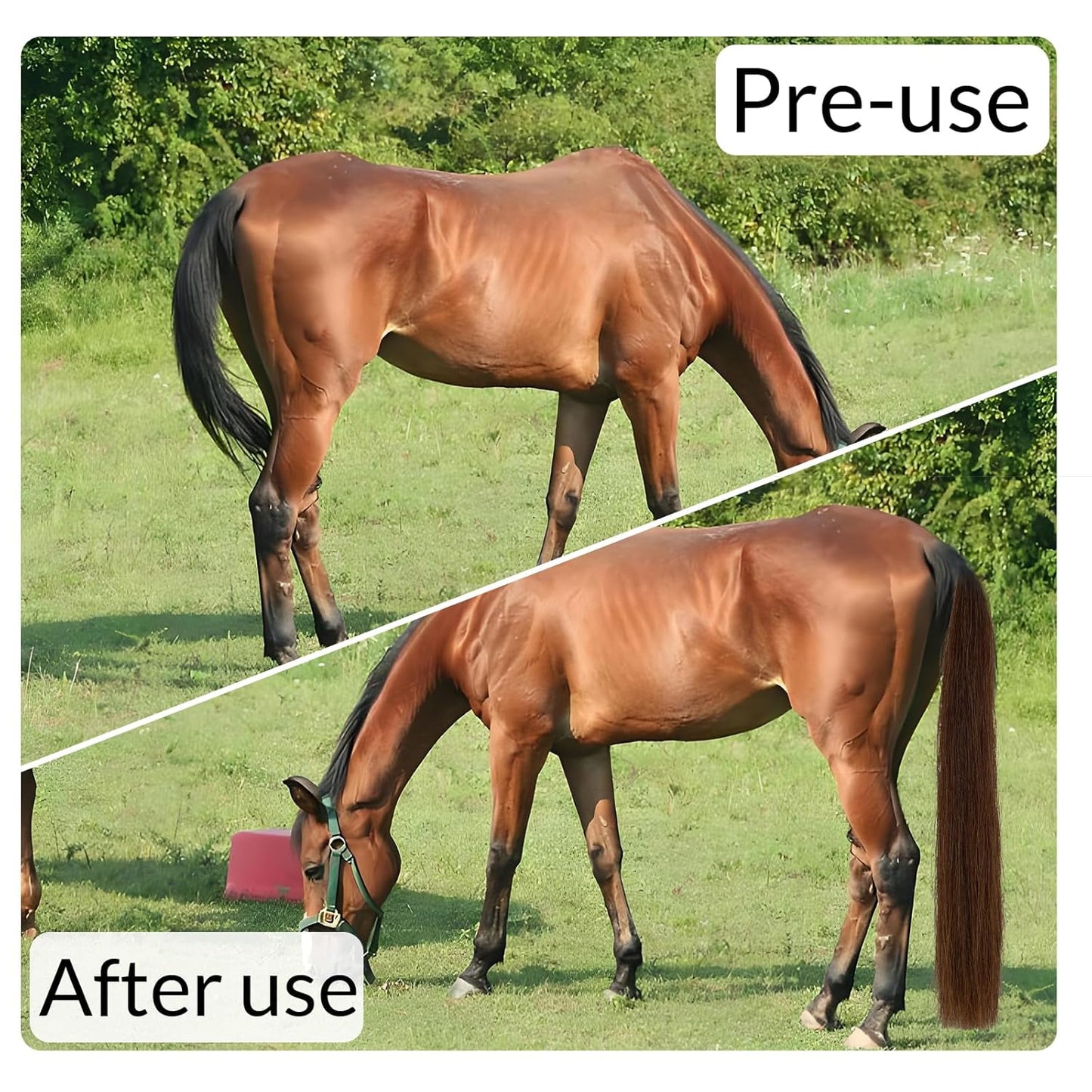 Horse Tail Extension with Braided Horsehair Loop, Blunt Cut Bottom, 3/8 lb, 28-30 inches (drak Chestnut)