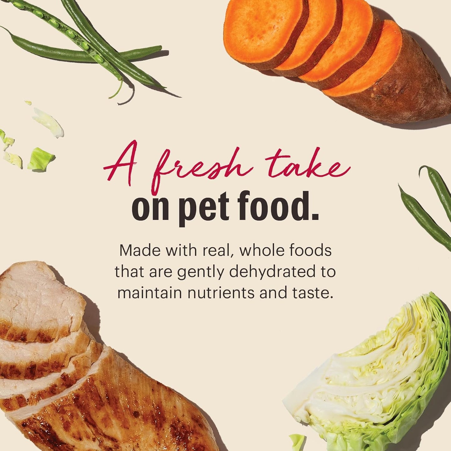 The Honest Kitchen Wholemade™ Grain Free Chicken Dog Food, 2 lb Bag