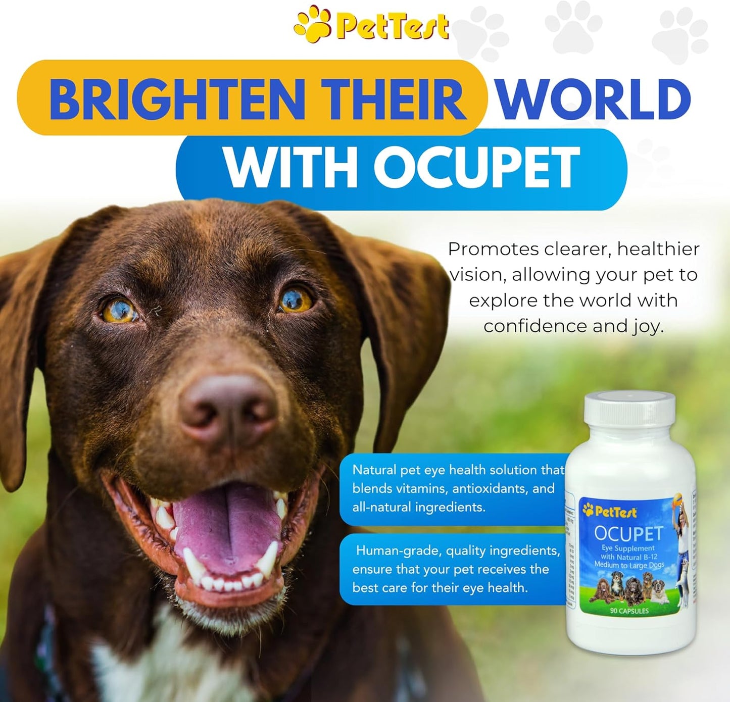 Ocupet Advanced Vision and Eye Health Supplement for Medium to Large Dogs Packed with Natural B12, Grape Seed Extract and Lutein to Support Pets with Diabetes or Eye Related Conditions-90 Capsules