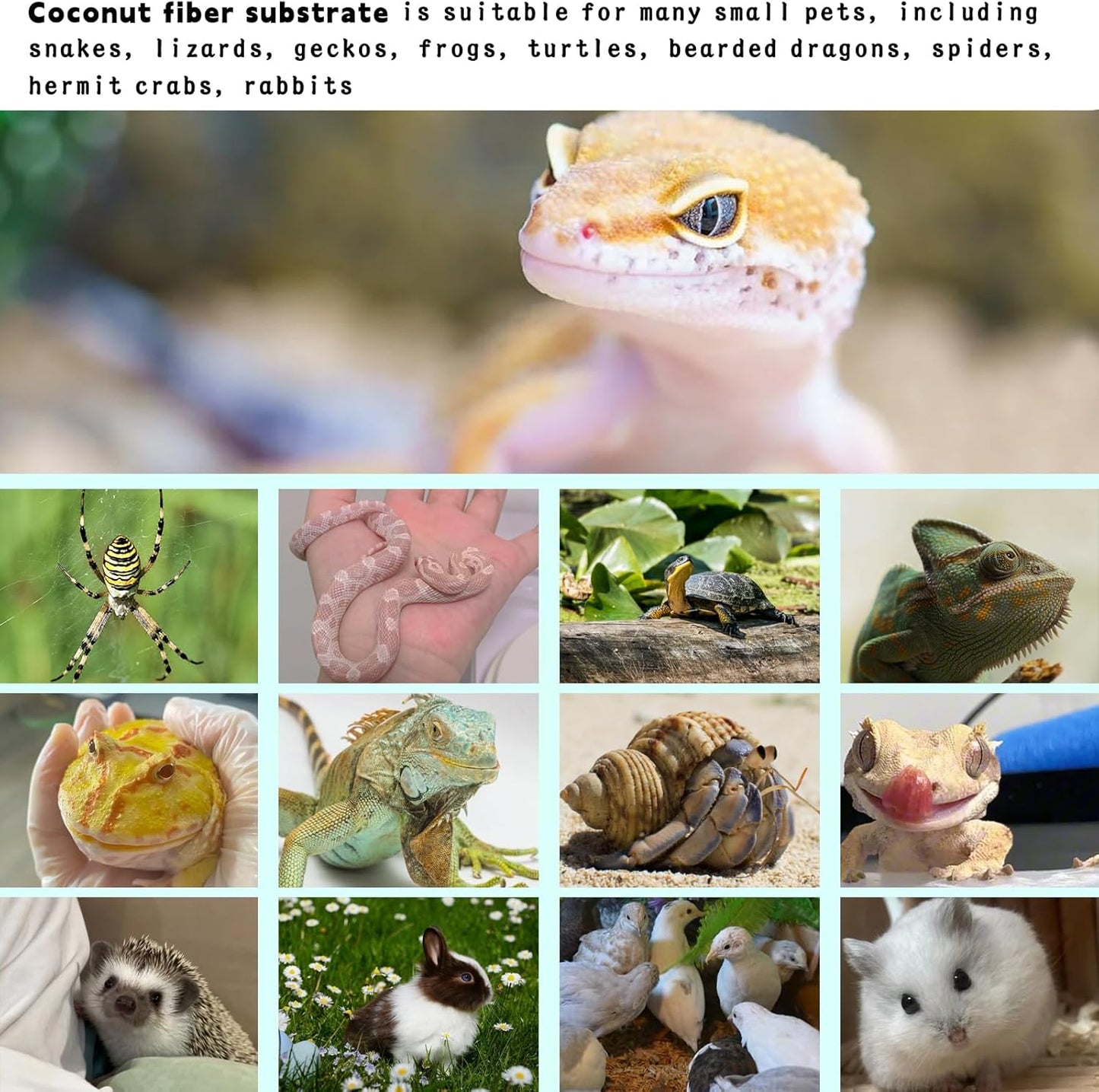 Hamiledyi 118x15.7in Reptile Carpet Coconut Fiber Substrate Large Coco Liner Roll Lizard Cage Mat Natural Coco Fiber Bedding for Bearded Dragon Turtles Iguana Tortoise Pad Garden Decoration