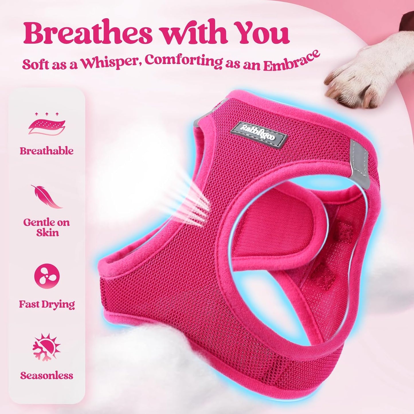 rabbitgoo Dog Harness Small Sized and Leash Set, Step in Soft Light Puppy Vest, Breathable Mesh Pet Harness, Reflective for Safe Easy Walking, Rose Red XS