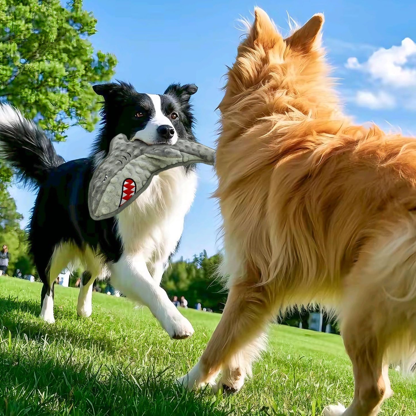 Dog Toy Squeaky Chew Dog Toys No PP-Cotton,no Stuffed for Small, Medium, Large Breed Dogs Interactive Hours of Fun,Gray-Shark