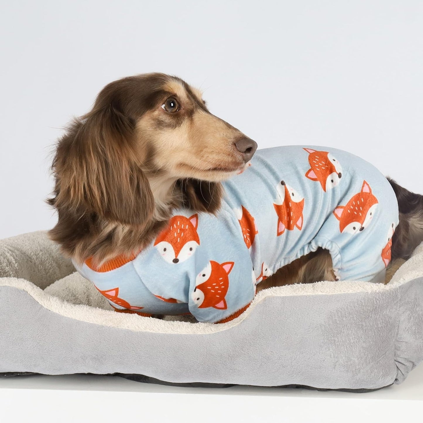 Fitwarm Funny Fox Dog Pajamas, Warm Dog Onesie, Dog Clothes for Small Dogs Girl Boy, Lightweight Velvet, Pet Outfit, Gray, Orange, XL