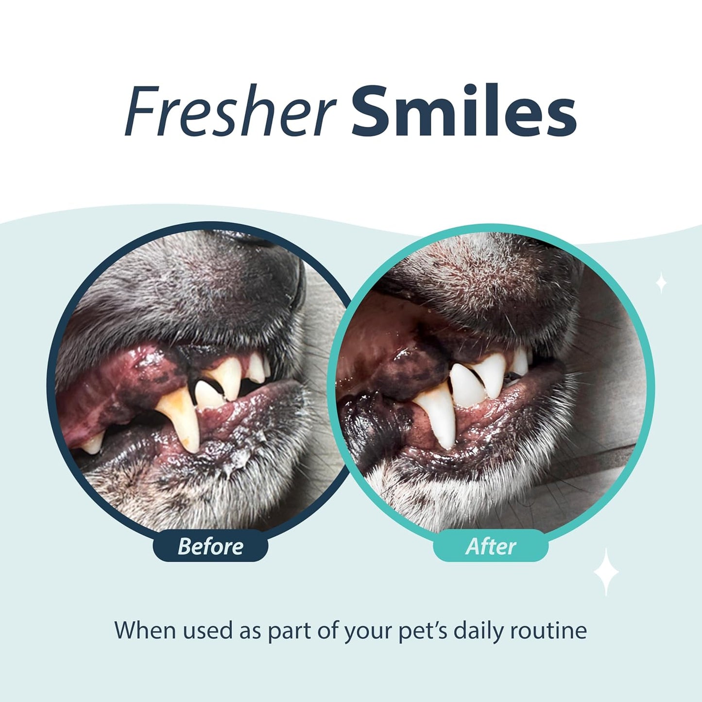 Dental Fresh Oral Spray for Dogs and Cats, Eliminates Bad Breath and Protects Their Teeth & Gums, 4 Fl Oz.