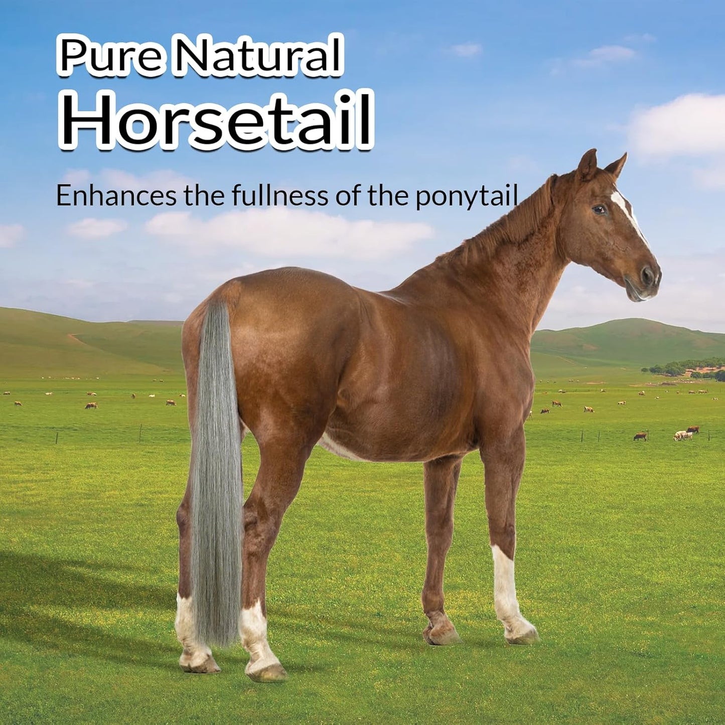 Horse Tail Extension with Braided Horsehair Loop, Blunt Cut Bottom, 3/8 lb, 28-30 inches (Medium gray)