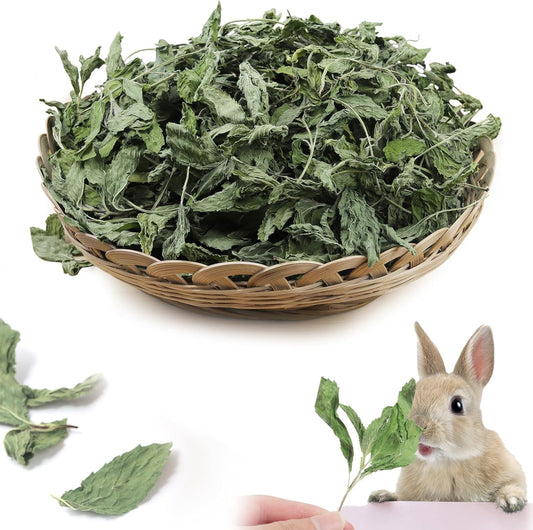 Nature Treats for Small Animals Dried Mint Leave 12 OZ - Dust Free Natural Green Fresh for Pets Rabbits, Rich in nutrients Alleviate Digestive Improve The Oral Health of Pets