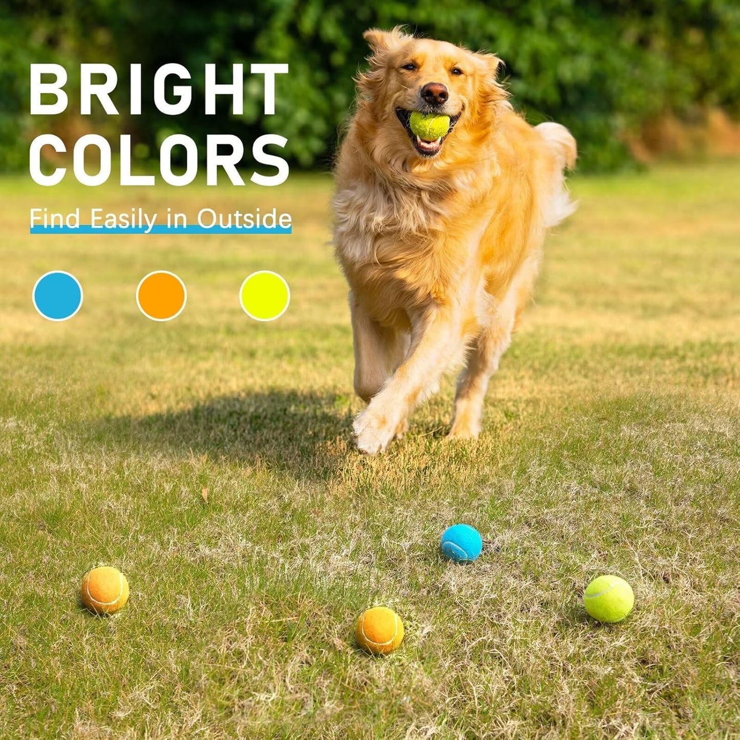 Prime Pets Squeaky Balls for Dogs, 2.5 Inch Dog Squeaky Toys, Interactive Dog Toy Tennis Balls for Indoor Outdoor, Squeak Toys for Medium, Large Dogs